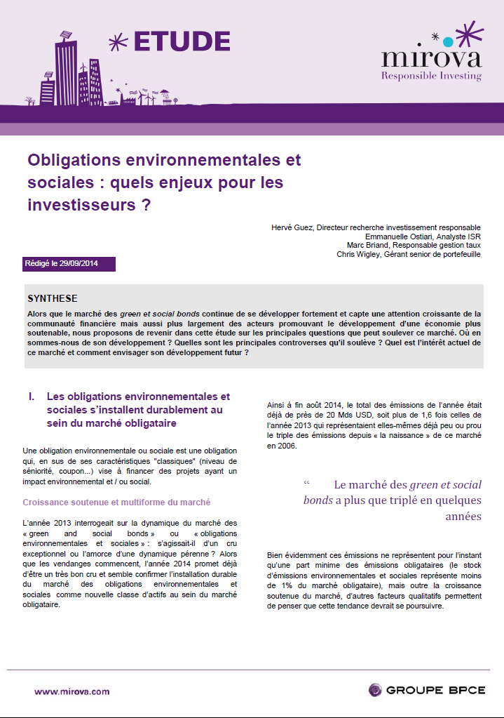 Obligations environnementales et sociales : quels enjeux pour les investisseurs ?