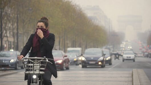 pollution impact sur l'organisme